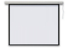 Ekran elektryczny PROFI 1:1