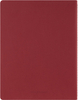 Zeszyt MOLESKINE Student Cahier, XXL, w linie, 21,6x27,9cm, czerwony