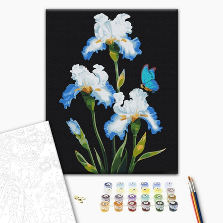 Malowanie po numerach BRUSHME, 40x50 cm, irysy, 1 szt., w pudełku